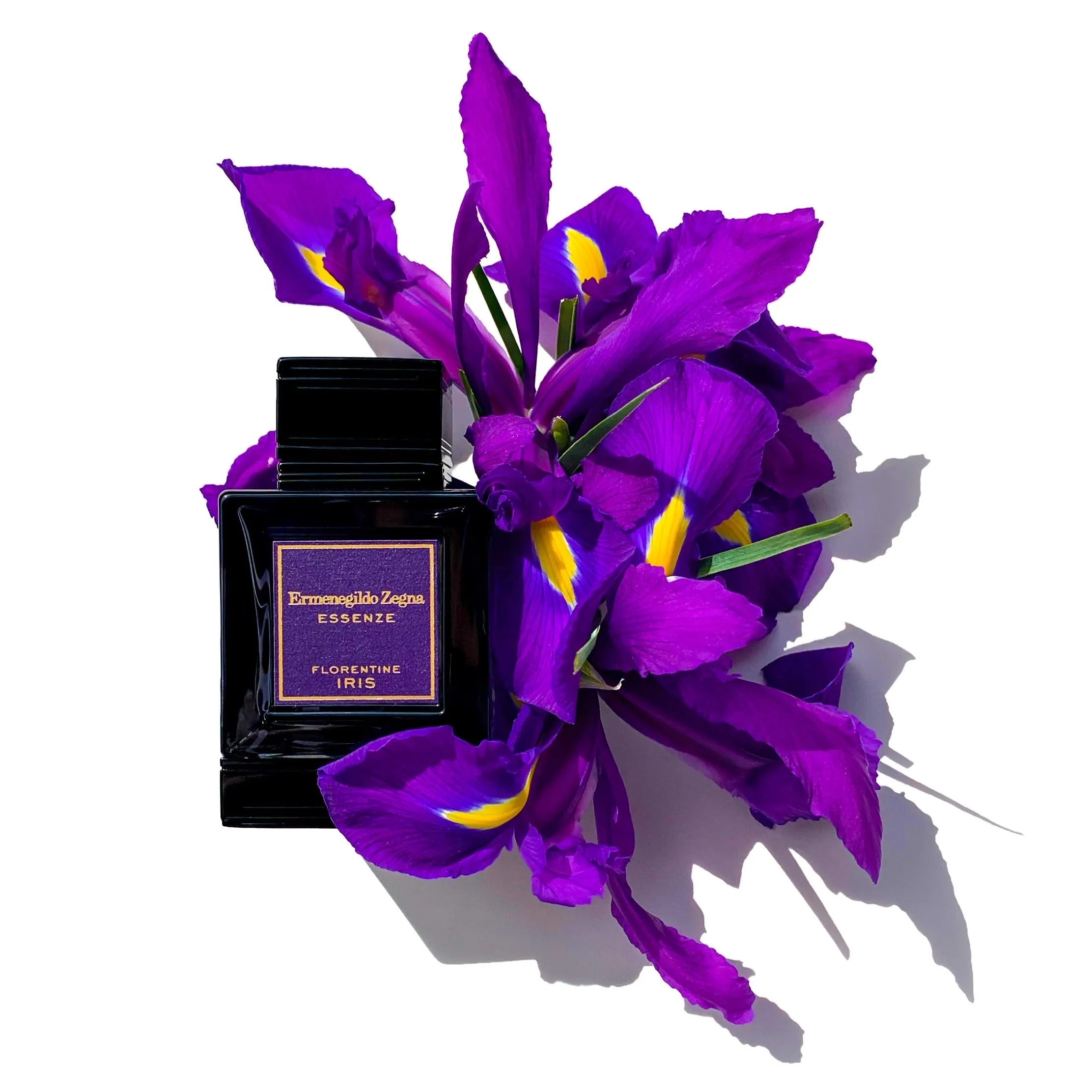 Ermenegildo Zegna Essenze Florentine Iris EDP