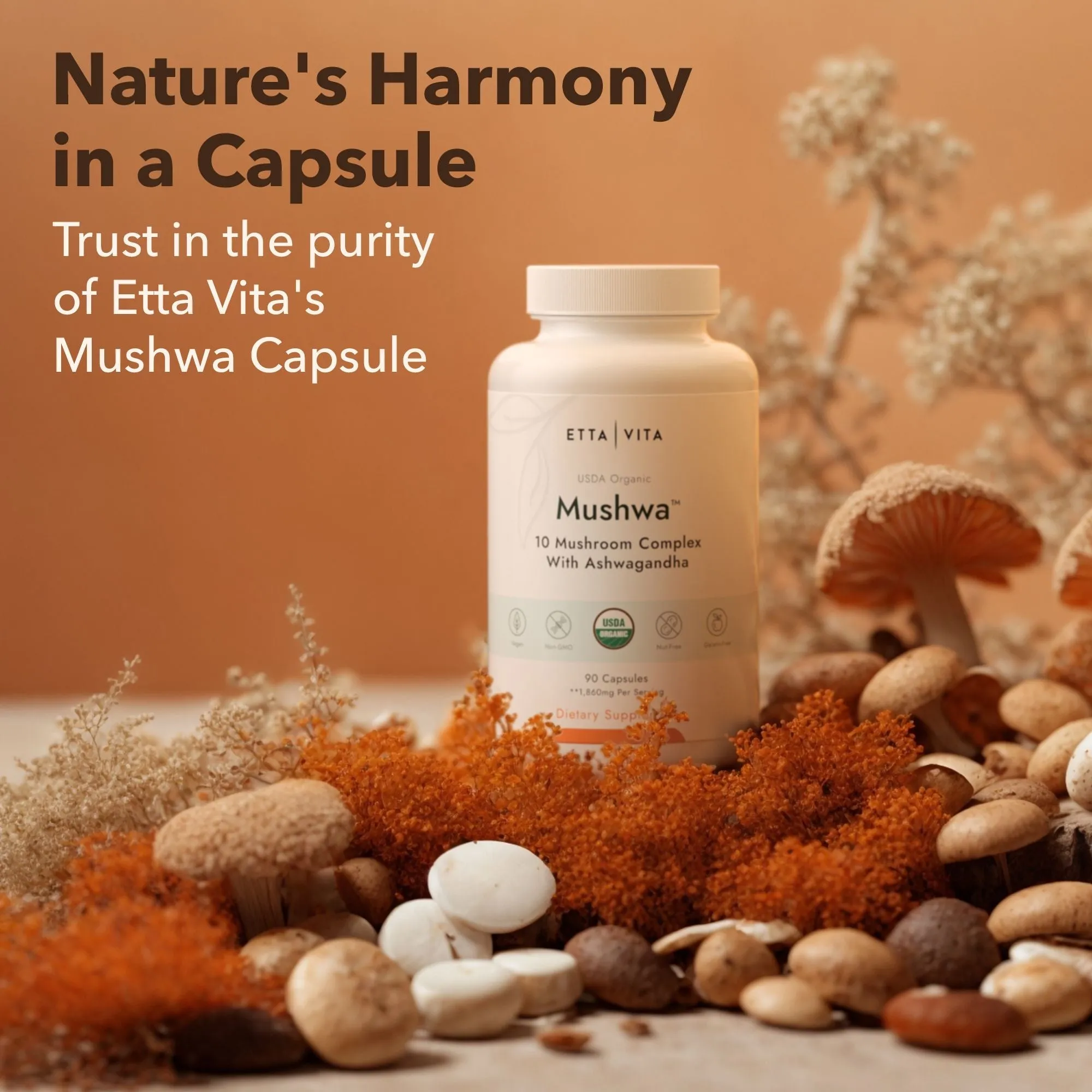 Etta Vita Mushwa Mushroom Capsules