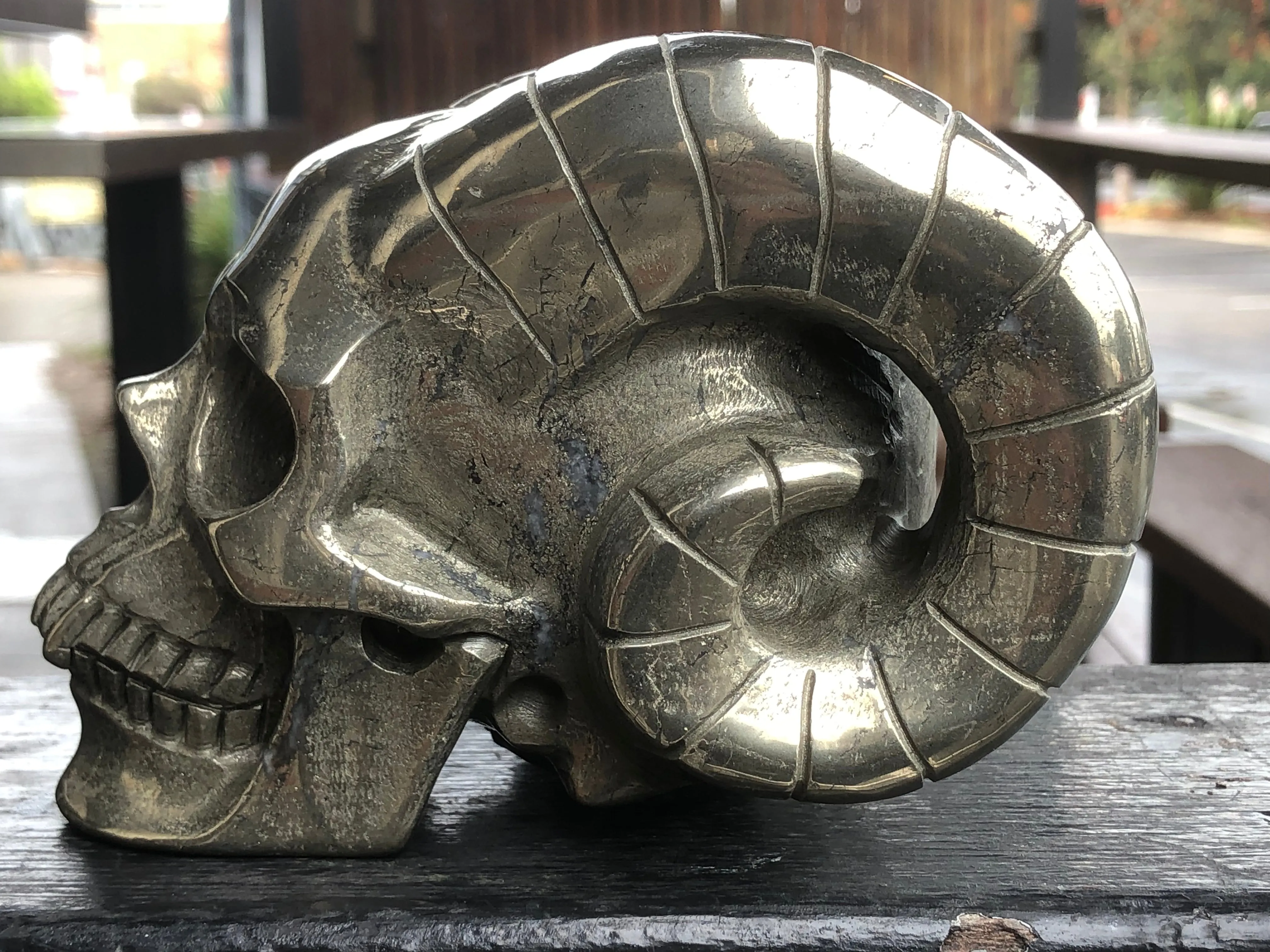 Pyrite Pan Skull [1k1539]