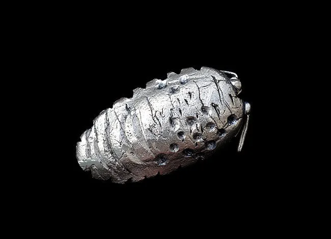 Woodlouse/Sea slater brooch. 2015.